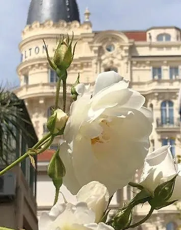 Apartmán Croisette Cannes